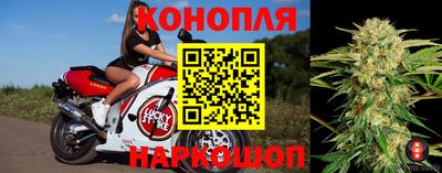 бошки Кинель