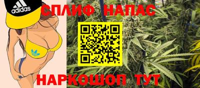 бошки Кинель
