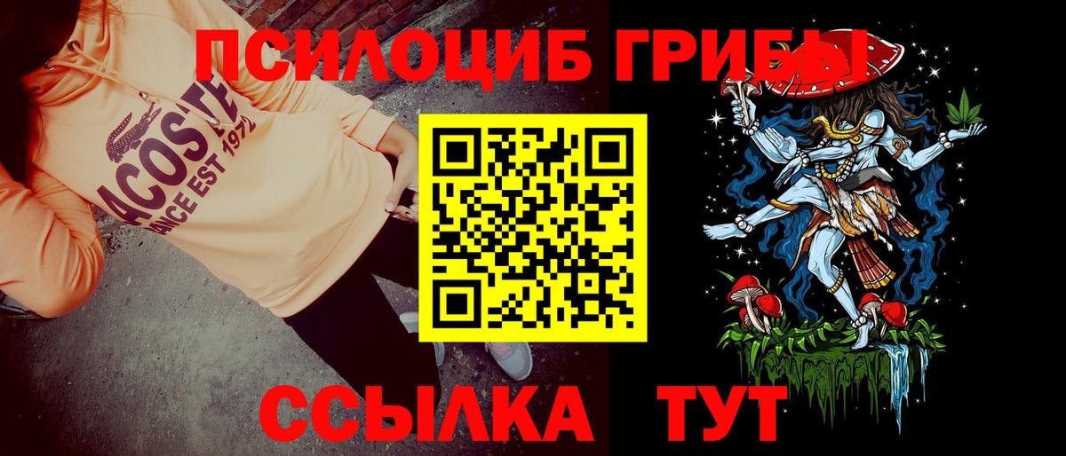 Кандалакша  Галлюциногенные грибы Cubensis  купить  цена  Вход с VPN 